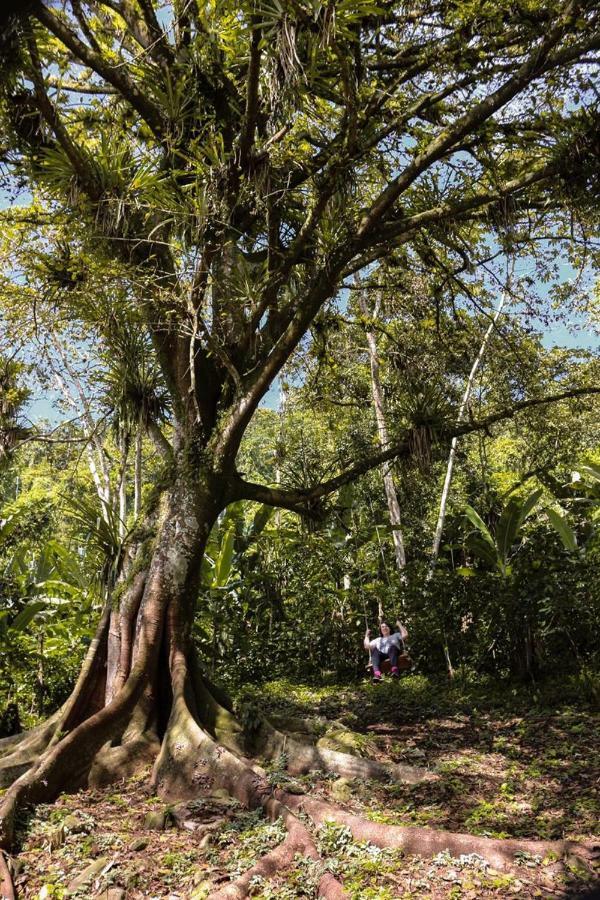 Chale Suico - Chales Belo Monte - Sitio Belo Monte Pacoti Eksteriør billede